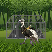 BEG Rescue The Riding Bird