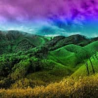 Moss Mountain Valley Escape HTML5
