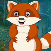 Brown Fox Rescue