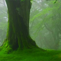 AvmGames Forest Wooden House Escape