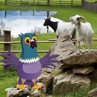 Goat Ranch Escape HTML5