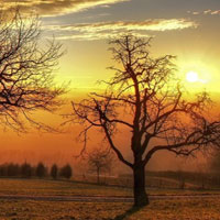 Sunset Scenery Land Escape HTML5