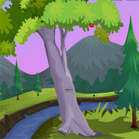 ZooZooGames Armadillo Escape