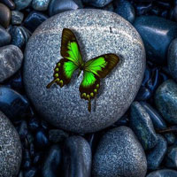 Butterfly Fantasy Land Escape HTML5
