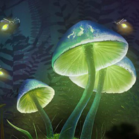 Girls Rescue From Tribals HTML5