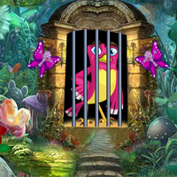 Rosy Bird Rescue