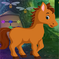 G4k Colt Horse Rescue