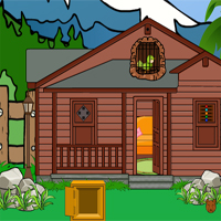 Bird Rescue From Cage