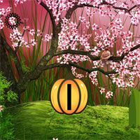 Wowescape Spring Flower Fantasy Escape