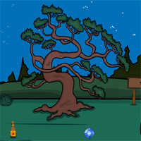 Games2Jolly Forest Pigeon Rescue