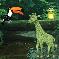 Big Forest Land Escape