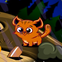 Monkey Happy Stage 681