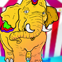 The Circus Elephant Rescue