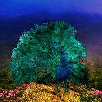 Games2rule Blue Mountain Valley Escape