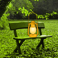 Green Autumn Forest Escape