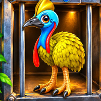 Rescue the Baby Cassowary
