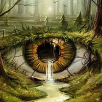 Escape From Illusion Forest HTML5