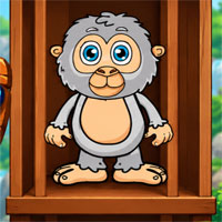 Cute Monkey Rescue