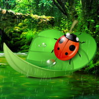 Games2rule Ladybug Rainforest Escape