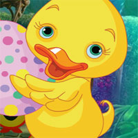 Infant Duck Rescue