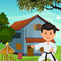 Games4King Karate Man Rescue