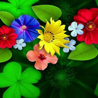 Pretty Blossom Wallpaper Escape HTML5