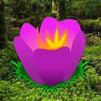 Nature Tempere Forest Escape HTML5