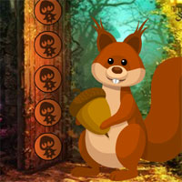 Games4King Squirrel Rescue From Old House