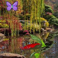 Wow Flashy Garden Escape