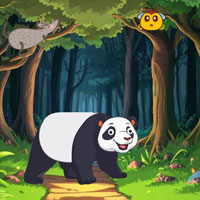 Panda Searching  For Her Infant