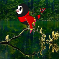 Cascade Wilderness Escape HTML5