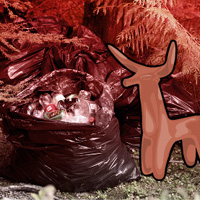 Big Polluted Forest Escape