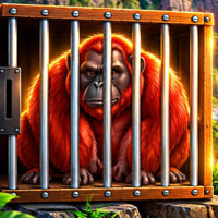 Escape of the Caged Red Orangutan