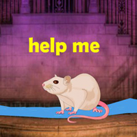 Assist The White Rat HTML5