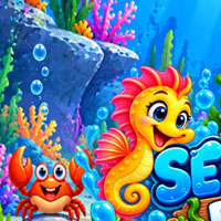 Big Sea Horse Rescue