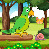 Parrot Found Its Lost Eggs