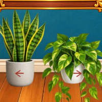 8B City Apartment Find Chloe