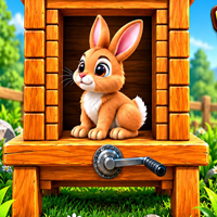 Rescue the Baby Bunny
