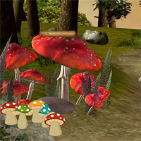 365 Secret Forest