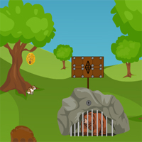 KnfGame Cave Bear Rescue