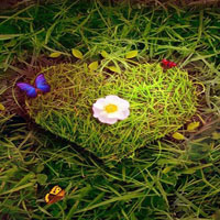 Love Lawn Escape HTML5