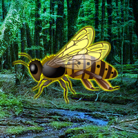 Giant Wasp Forest Escape
