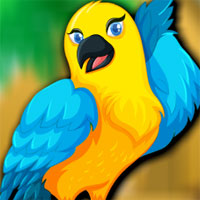  Avm Beautiful Bird Escape