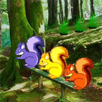 Games2rule Wild Tortoise Escape