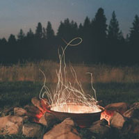 Snugly Forest Escape HTML5