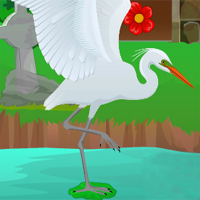 Rescue Egret Bird