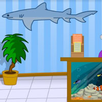 SD Hooda Escape Aquarium 2024