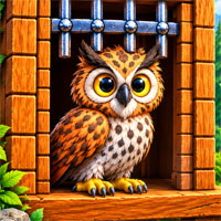 Free the Wise Owl