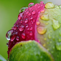 Escape From Rain Garden HTML5