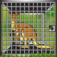 Green Woods Kangaroo Rescue